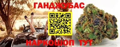 индика Будённовск