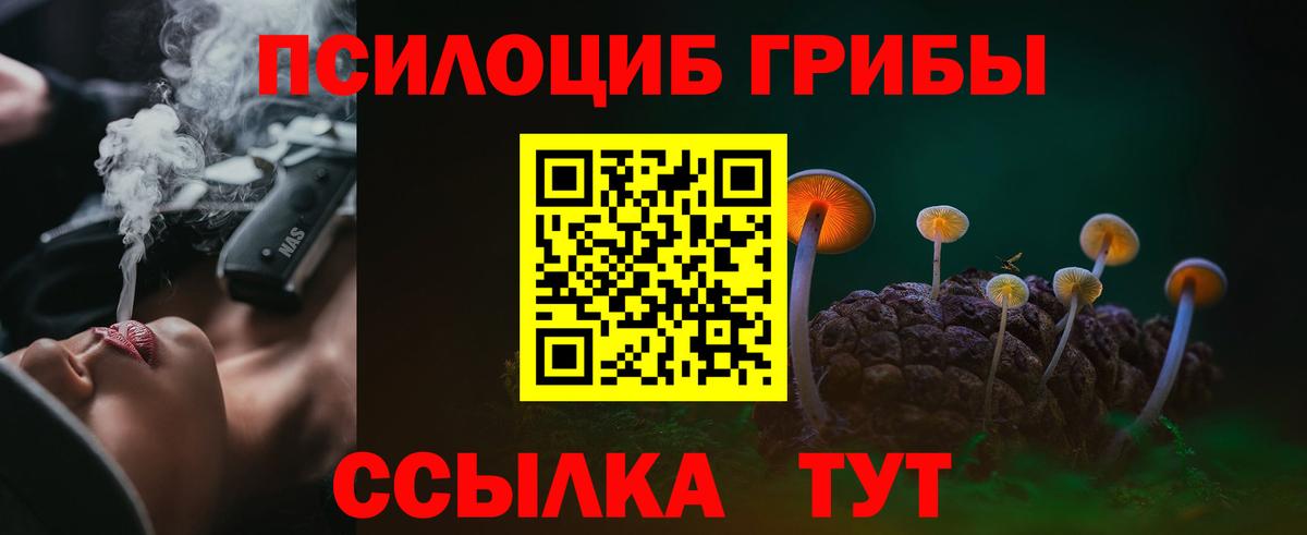 Димитровград  Галлюциногенные грибы ЛСД  Вход с VPN 
