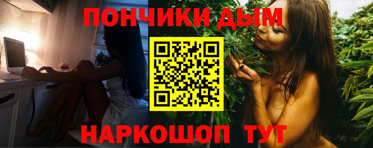 Канабис OG Kush  Канабис Bruce Banner  Димитровград  Каннабис ГИДРОПОН  Вход с VPN 